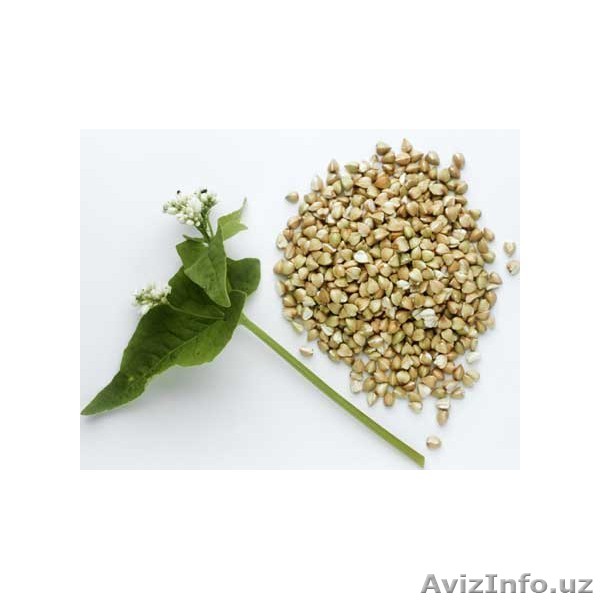 Широкий ассортимент круп от производителя! - Изображение #1, Объявление #160497